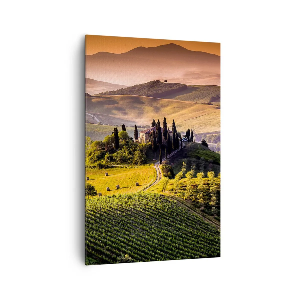 Impression sur toile - Image sur toile - Paysage toscan avec des vignes et une maison sur une colline - 80x120cm - Arcadie - le paysage toscan - Décoration murale moderne pour le salon et la chambre ARTTOR