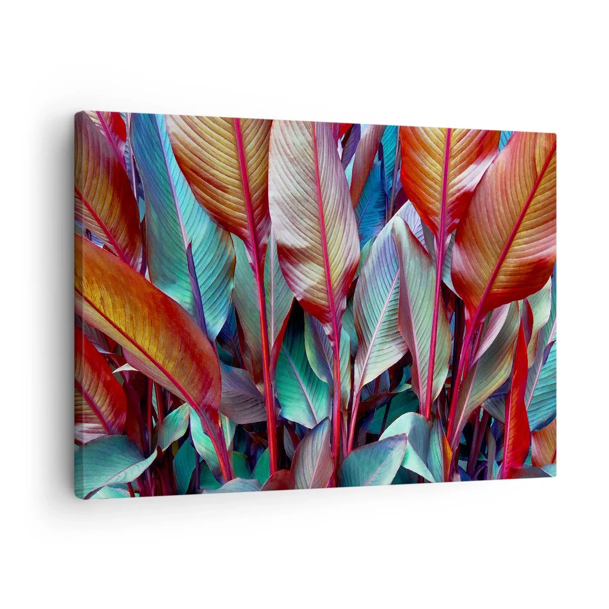 Impression sur toile - Image sur toile - Feuilles colorées de plantes tropicales dans le fourré - 70x50cm - Un fourré coloré - Décoration murale moderne pour le salon et la chambre ARTTOR