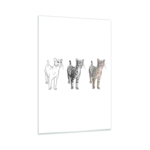 Impression sur verre - Image sur verre - L'évolution d'un dessin de chat, de l'esquisse à la forme colorée - 80x120cm - Leçon de dessin - Décoration murale moderne pour le salon et la chambre ARTTOR