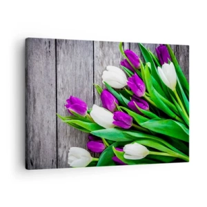 Impression sur toile - Image sur toile - Un bouquet de tulipes violettes et blanches sur un fond en bois - 70x50cm - Le jour des vacances de printemps - Décoration murale moderne pour le salon et la chambre ARTTOR