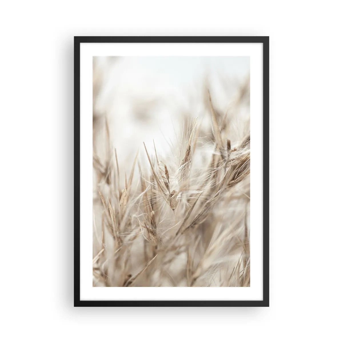 Affiche dans un cadre noir - Poster - Épis d'herbe délicats en beige - 50x70cm - Prairie et vent - Décoration murale moderne pour le salon et la chambre ARTTOR