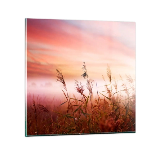 Impression sur verre - Image sur verre - Cerfs-volants, pissenlits, vent - 30x30 cm