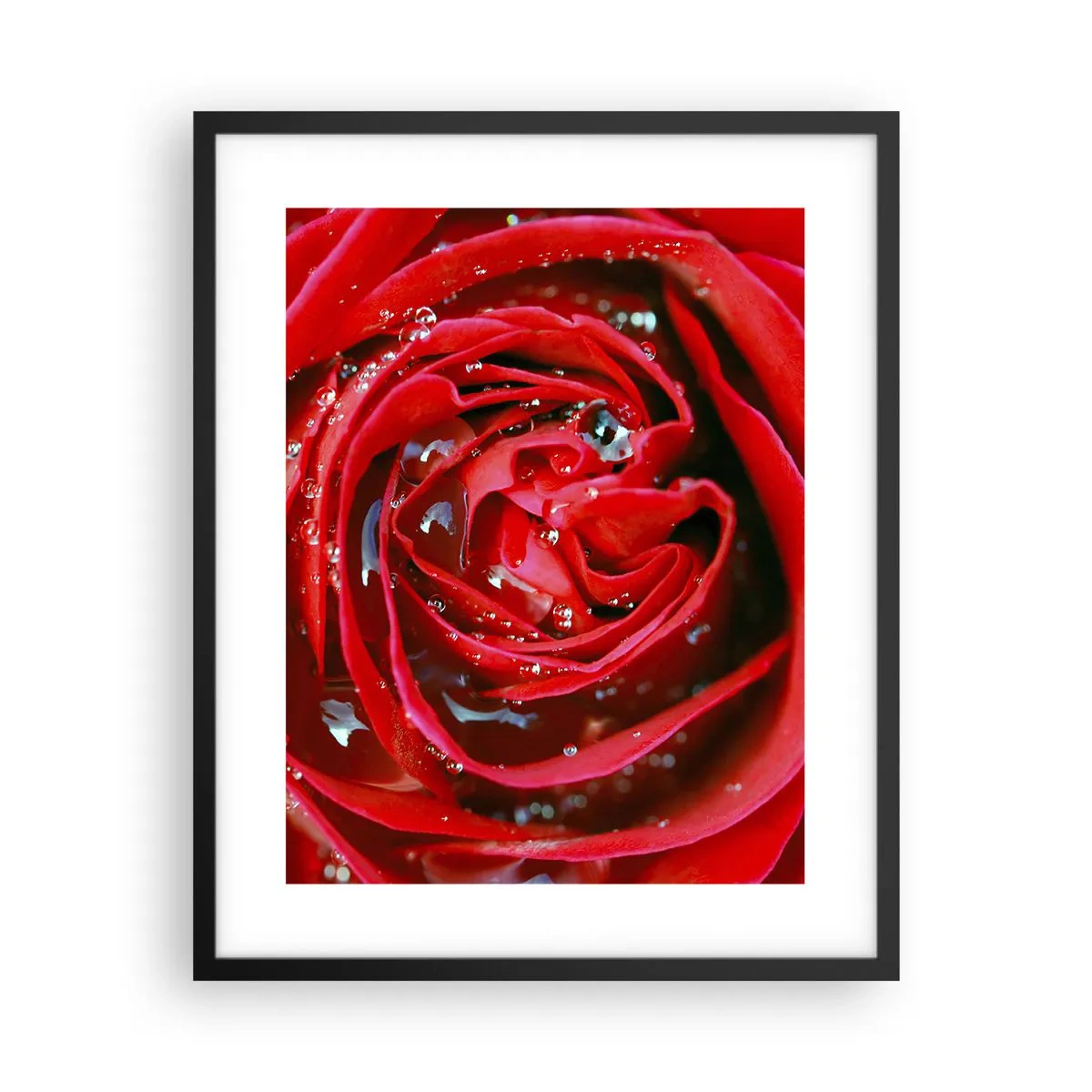 Affiche dans un cadre noir - Poster - Dans les gouttes de rosée - 40x50 cm