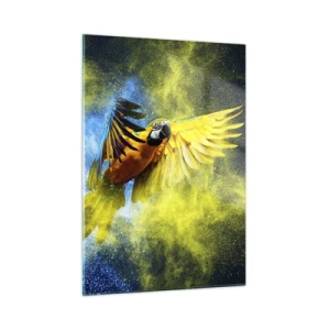 Impression sur verre - Image sur verre - Un perroquet coloré en vol sur un fond jaune et bleu - 50x70cm - Dans la poussière bleue et dorée - Décoration murale moderne pour le salon et la chambre ARTTOR