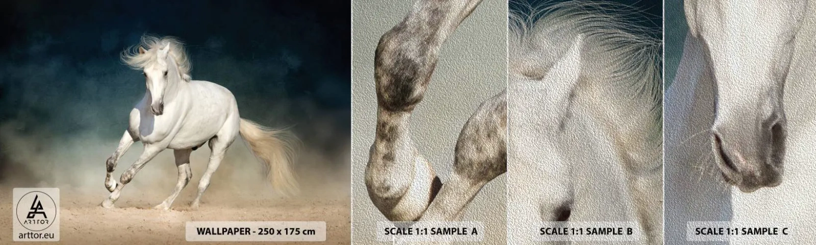 Échantillon de Papier Peint Premium Sand - La liberté à l'état pur - Cheval, Animal, Blanc - 100x30 cm