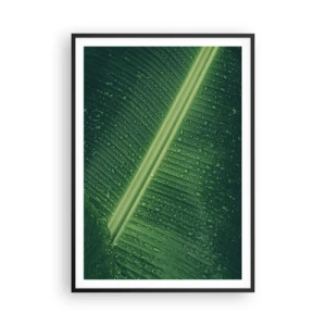 Affiche dans un cadre noir - Poster - Structure de vert - 70x100 cm