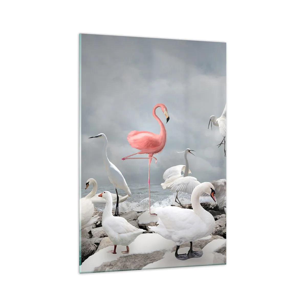 Impression sur verre - Image sur verre - Un flamant rose parmi des cygnes blancs sur fond de lac - 70x100cm - Comment suis-je arrivé là? - Décoration murale moderne pour le salon et la chambre ARTTOR