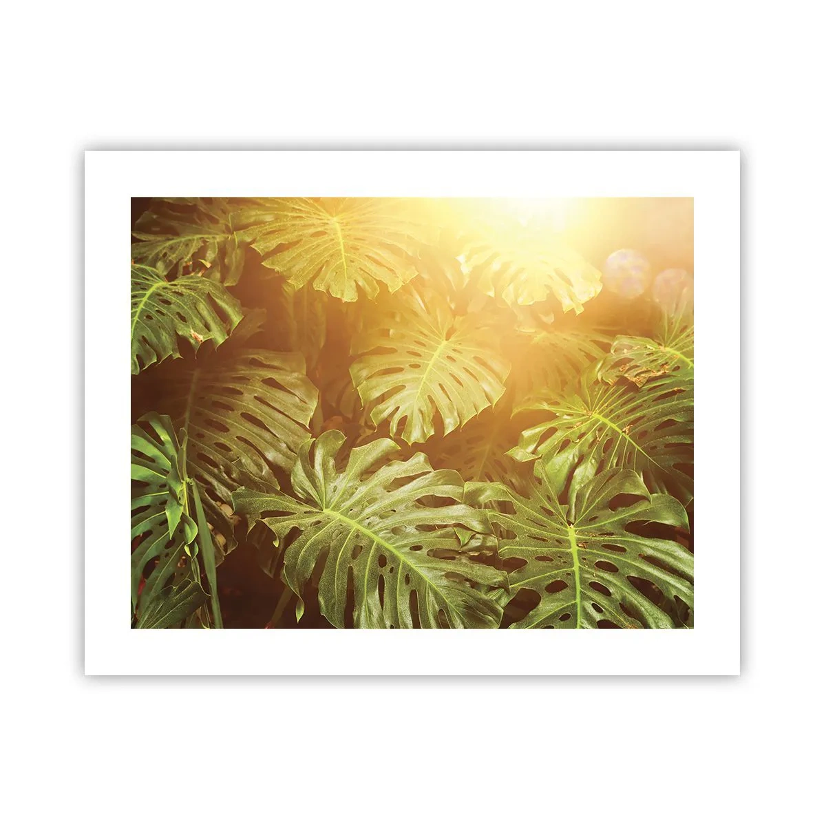 Affiche - Poster - Se fondre dans la verdure - 50x40 cm