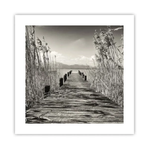 Affiche - Poster - Dans le calme de l'herbe - 40x40 cm