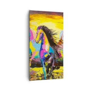 Impression sur toile - Image sur toile - Immergé dans l'arc-en-ciel - 65x120 cm