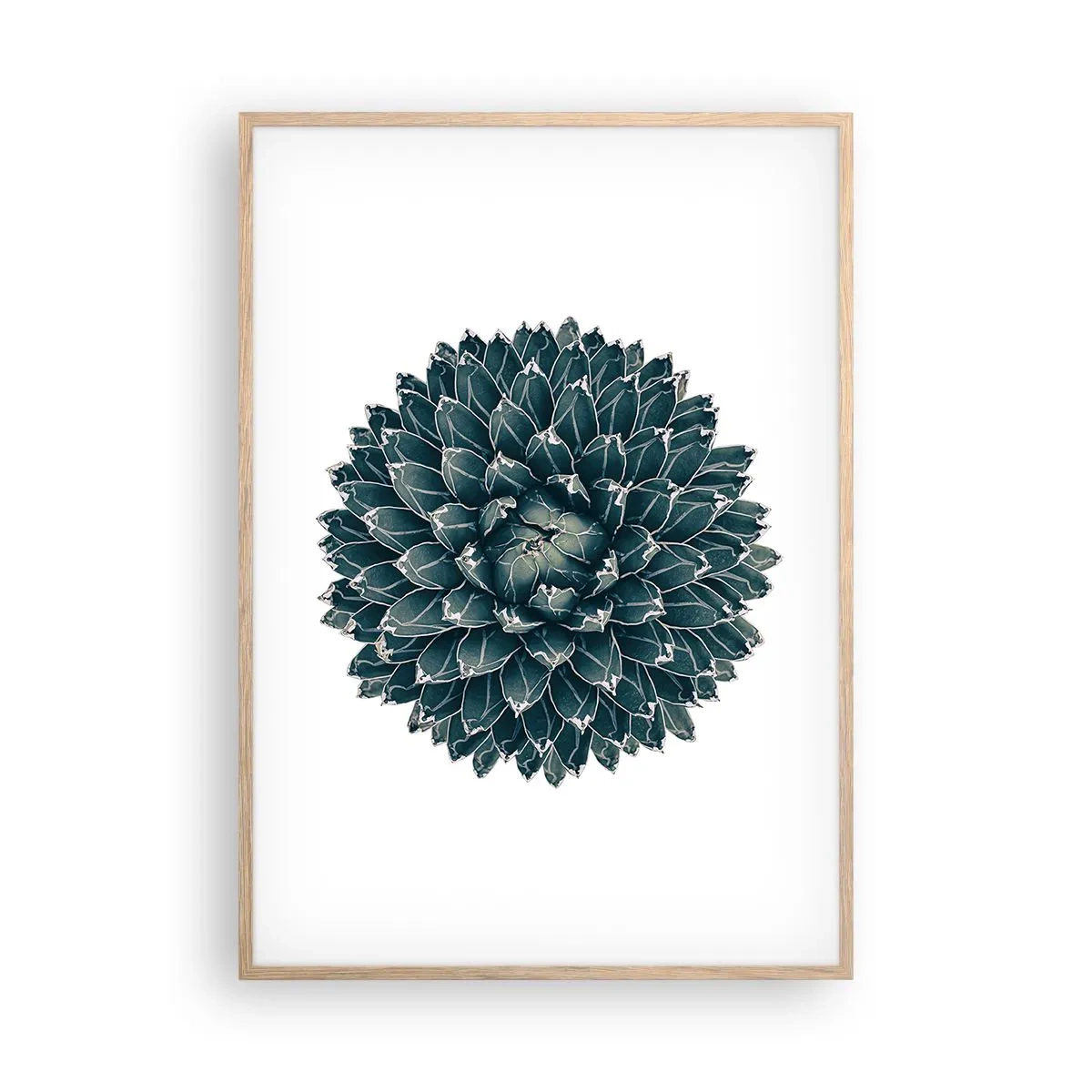 Affiche dans un chêne clair - Poster - Étoile du désert - 70x100 cm