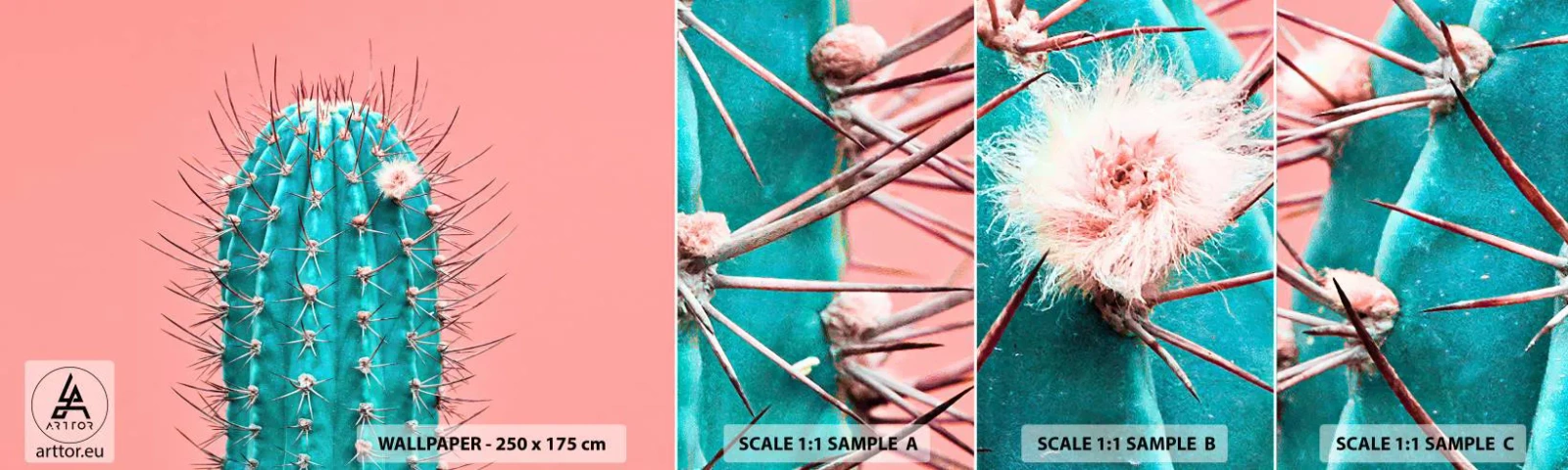 Échantillon de Papier Peint Autocollant Deluxe Sticker - Juste regarde - Cactus, Pastel, Minimalisme - 100x30 cm