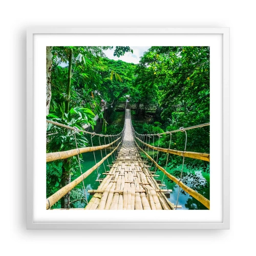 Affiche dans un cadre blanc - Poster - Pont de singe en pleine nature - 50x50 cm