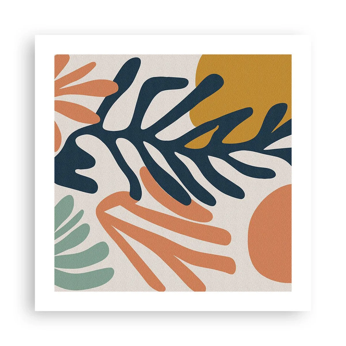 Affiche - Poster - Mers de corail - 50x50 cm