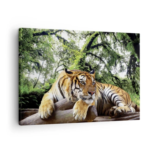 Impression sur toile - Image sur toile - Un tigre se reposant dans une forêt tropicale - 70x50cm - Cordialement - Décoration murale moderne pour le salon et la chambre ARTTOR