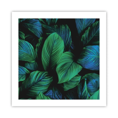 Affiche - Poster - Dans la foule verte - 50x50 cm