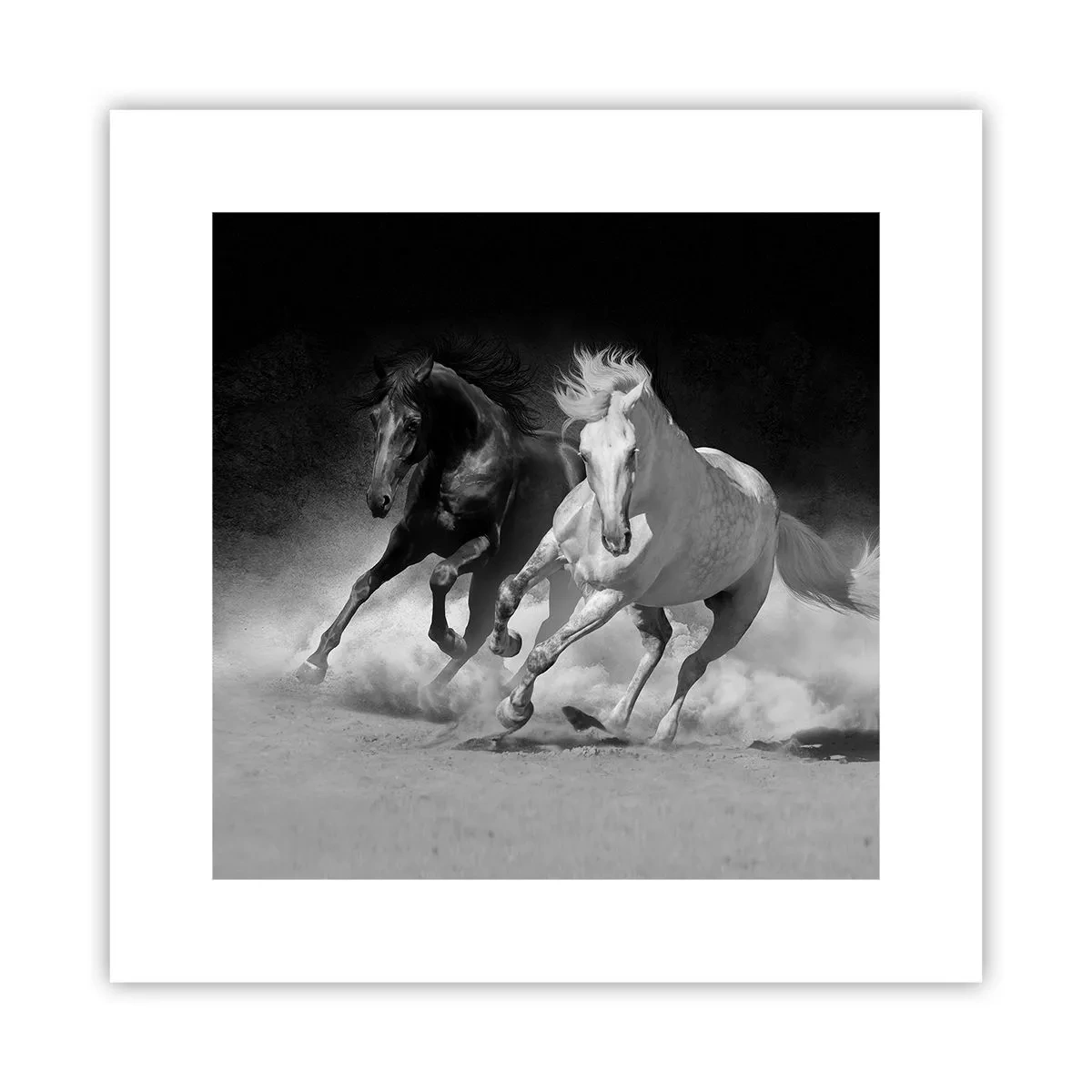 Affiche - Poster - Galop de la liberté - 30x30 cm