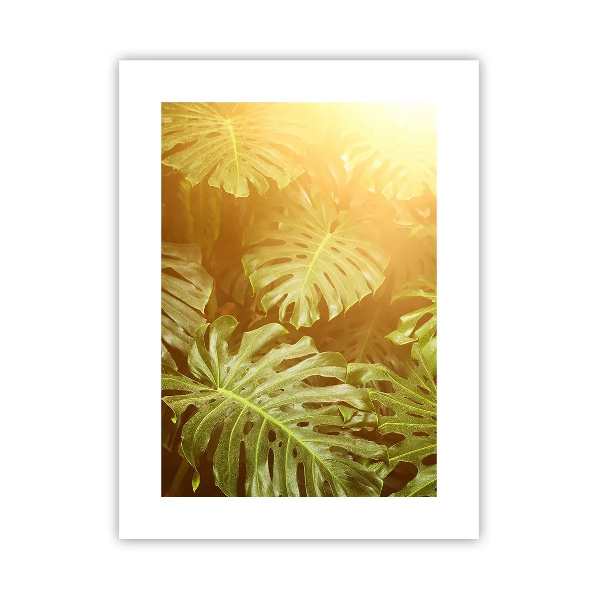 Affiche - Poster - Se fondre dans la verdure - 30x40 cm