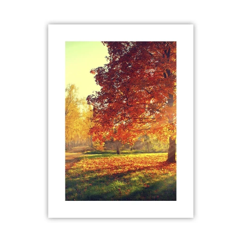 Affiche - Poster - Le roux est beau - 30x40 cm