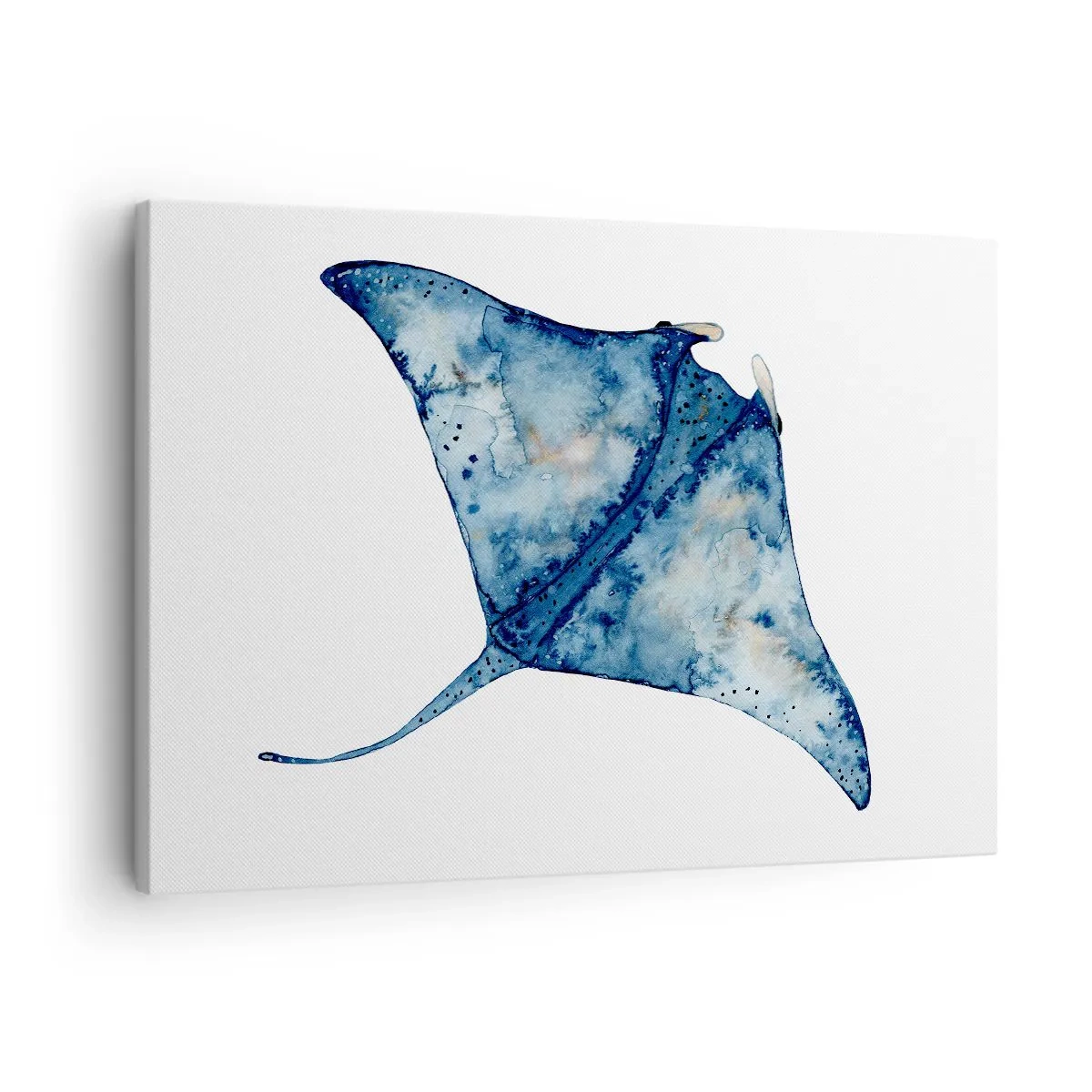 Impression sur toile - Image sur toile - Raie bleue à l'aquarelle sur fond blanc - 70x50cm - La vie en bleu - Décoration murale moderne pour le salon et la chambre ARTTOR