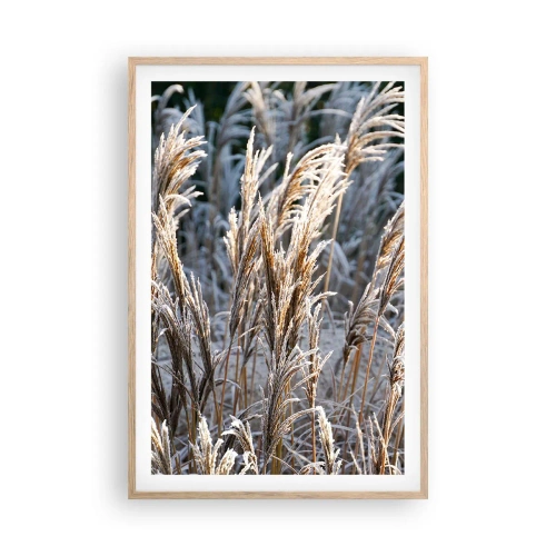 Affiche dans un chêne clair - Poster - Habillé de givre - 61x91 cm