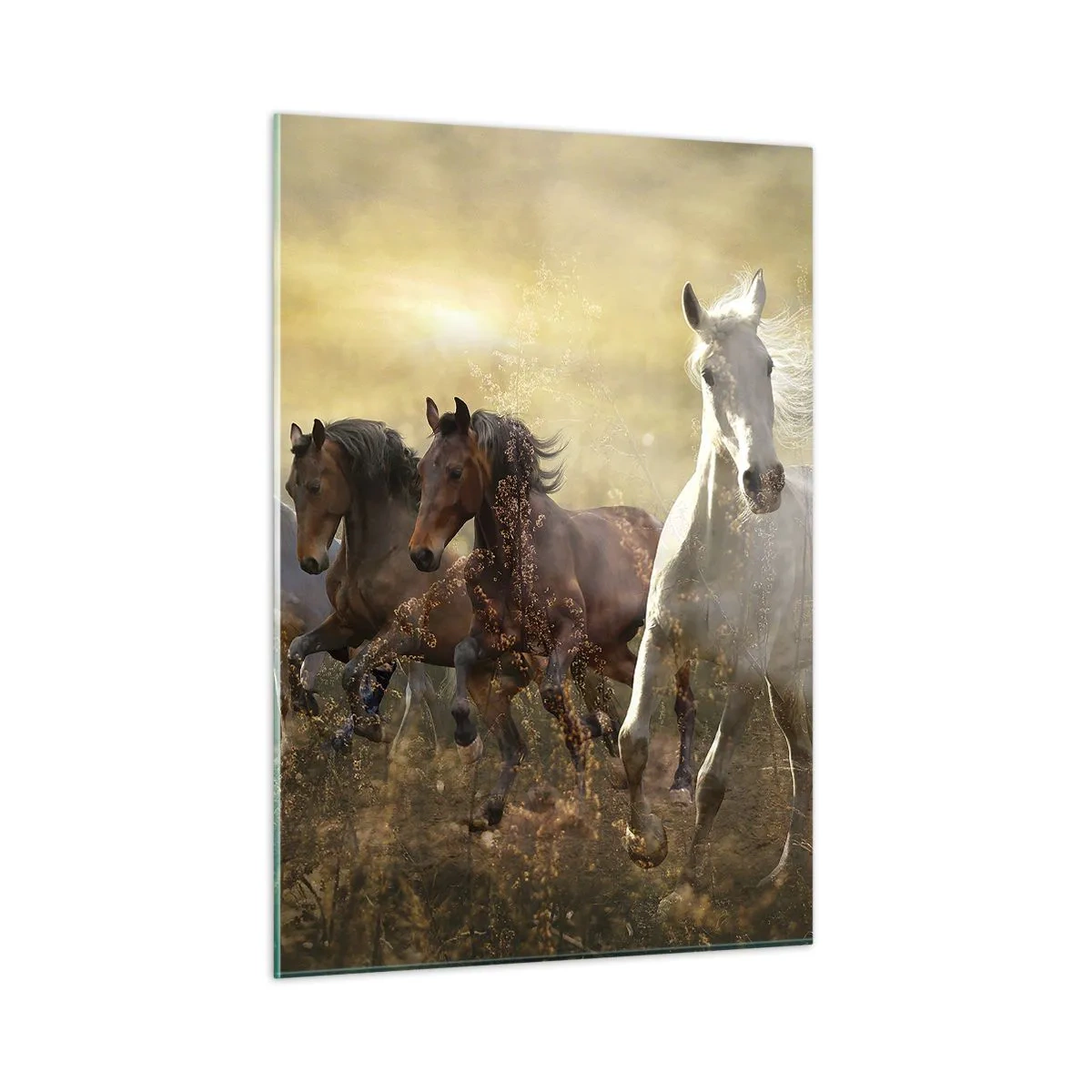 Impression sur verre - Image sur verre - Un troupeau de chevaux galopant dans les rayons du soleil couchant - 50x70cm - Vive la liberté! - Décoration murale moderne pour le salon et la chambre ARTTOR