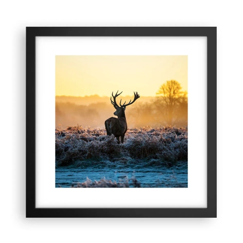 Affiche dans un cadre noir - Poster - Couronné pour sa succession - 30x30 cm