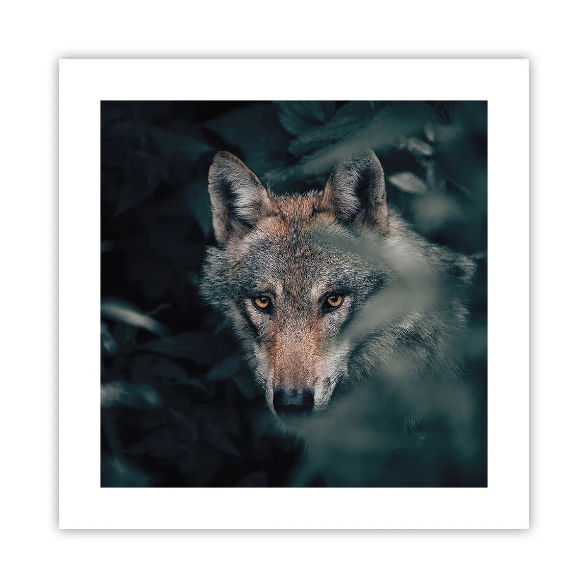 Affiche - Poster - Chasseur - 40x40 cm