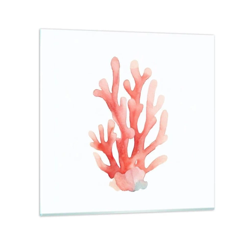 Impression sur verre - Image sur verre - Corail couleur corail - 60x60 cm