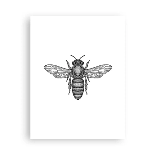 Affiche - Poster - Portrait d'insecte - 30x40 cm