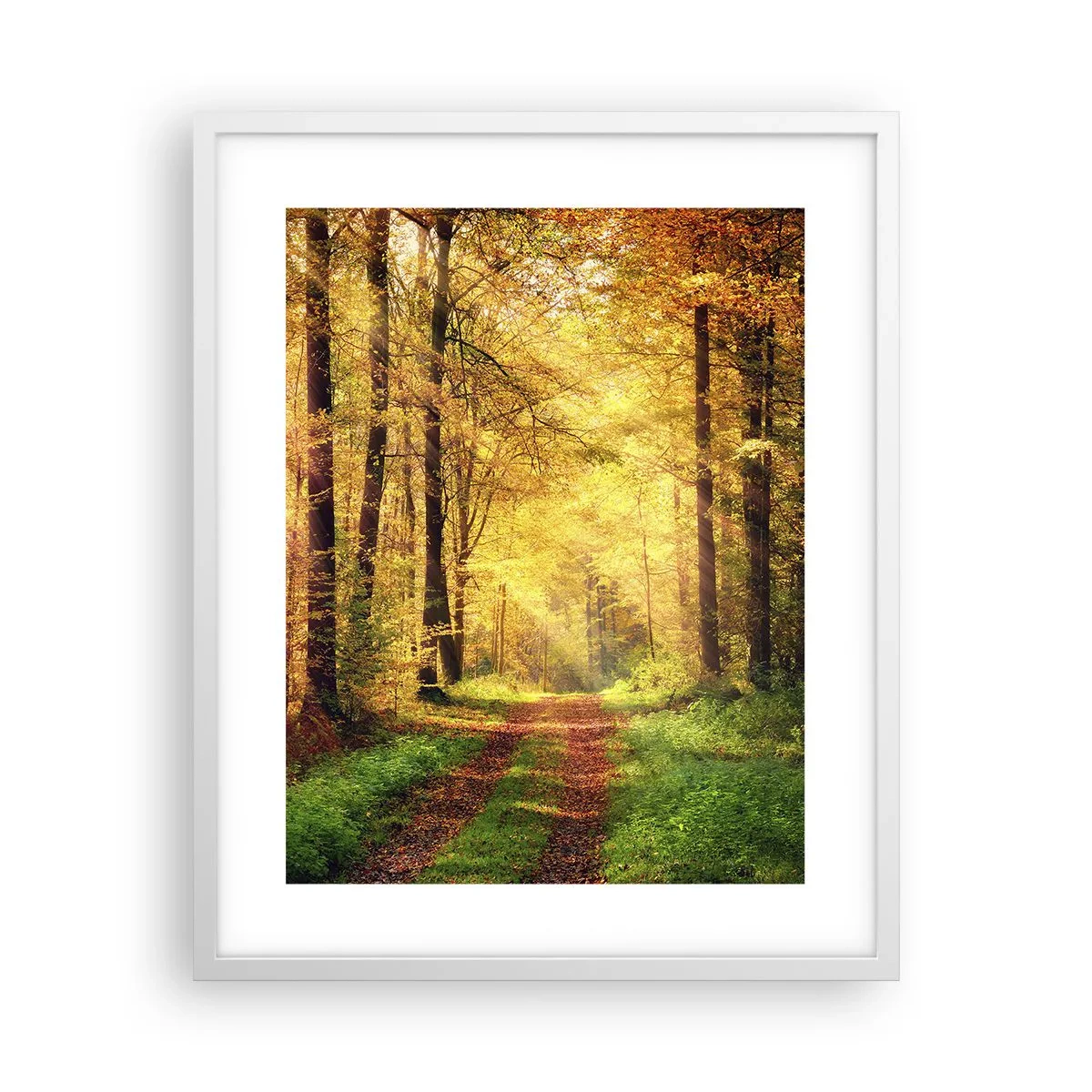 Affiche dans un cadre blanc - Poster - Silence d'or en forêt - 40x50 cm
