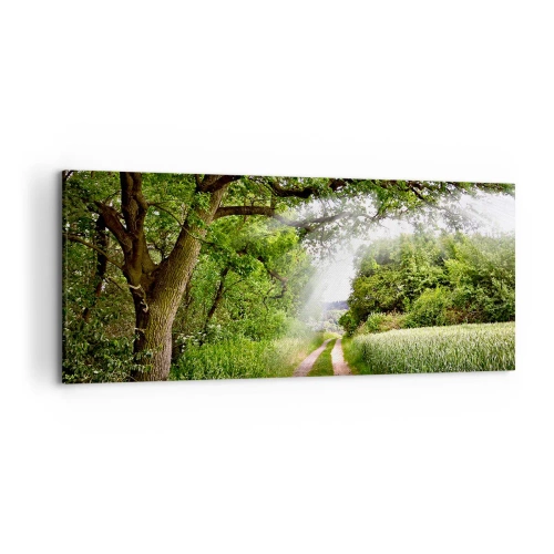 Impression sur toile - Image sur toile - Un chemin de terre parmi les arbres verts et la lumière du soleil - 120x50cm - Et in Arcadia ego - Décoration murale moderne pour le salon et la chambre ARTTOR