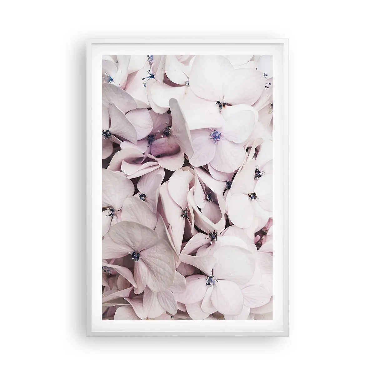 Affiche dans un cadre blanc - Poster - Dans un flot de fleurs - 61x91 cm