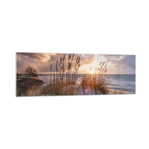 Impression sur verre - Image sur verre - Dunes avec des herbes sur fond de soleil couchant - 160x50cm - Salutations du soleil et du vent - Décoration murale moderne pour le salon et la chambre ARTTOR