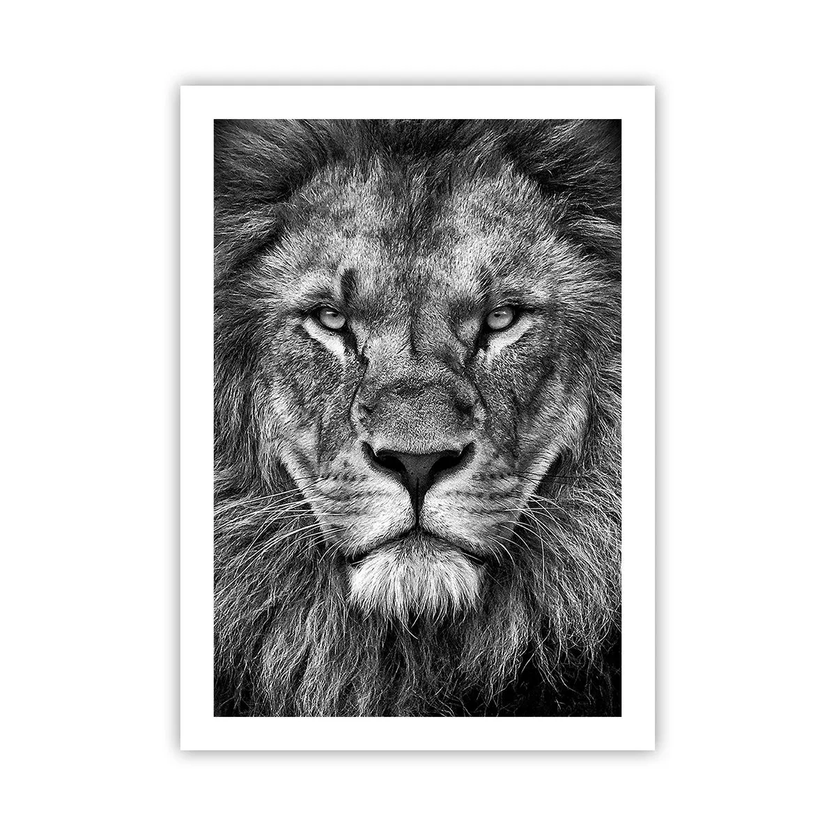 Affiche - Poster - Portrait noir et blanc d'un lion majestueux - 50x70cm - En vêtement de sacre - Décoration murale moderne pour le salon et la chambre ARTTOR