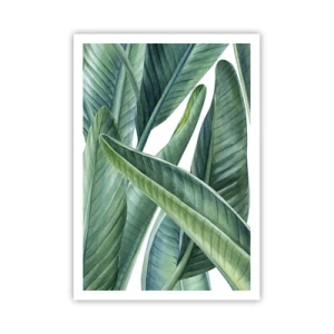 Affiche - Poster - La nature face à elle-même - 70x100 cm