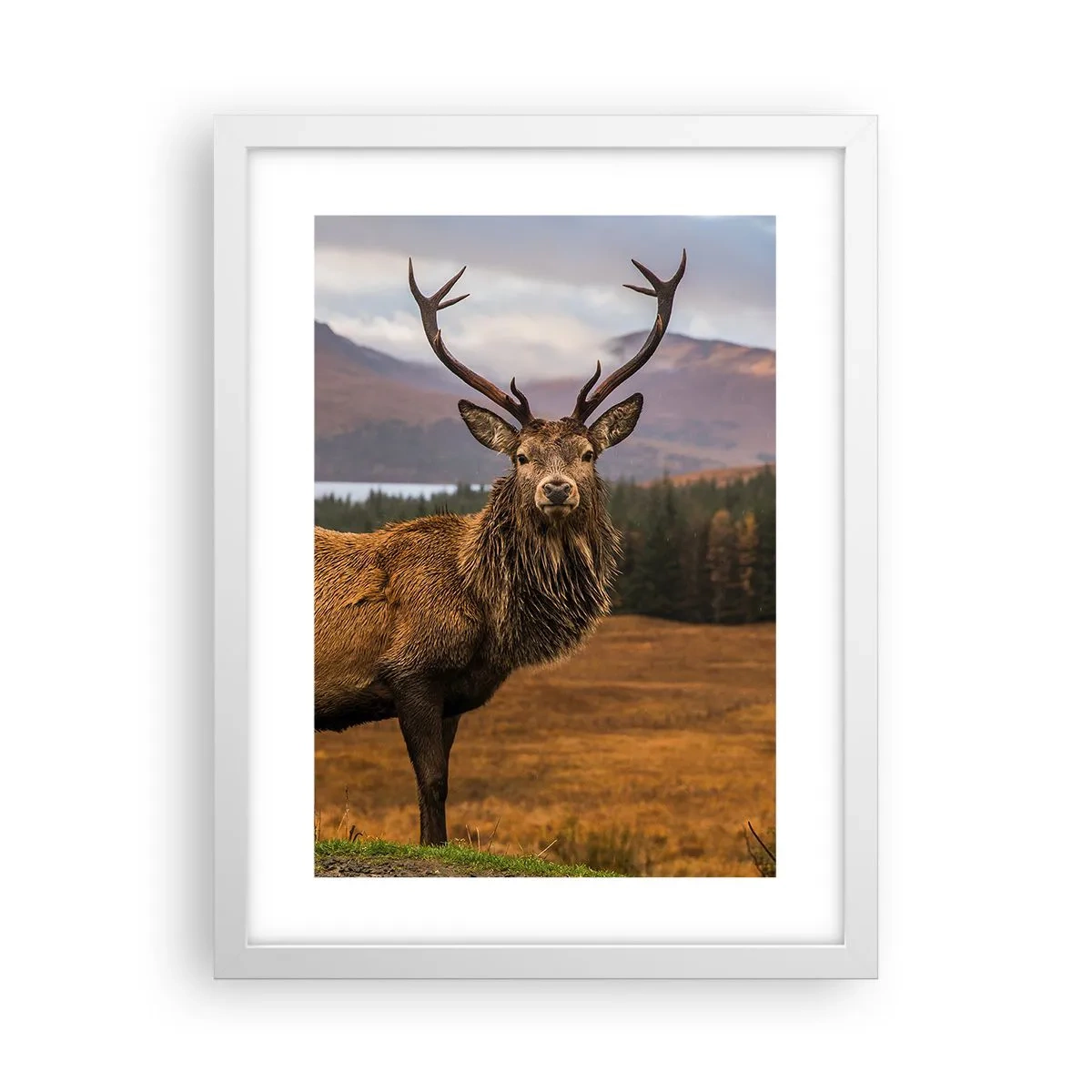 Affiche dans un cadre blanc - Poster - Majesté de la nature - 30x40 cm