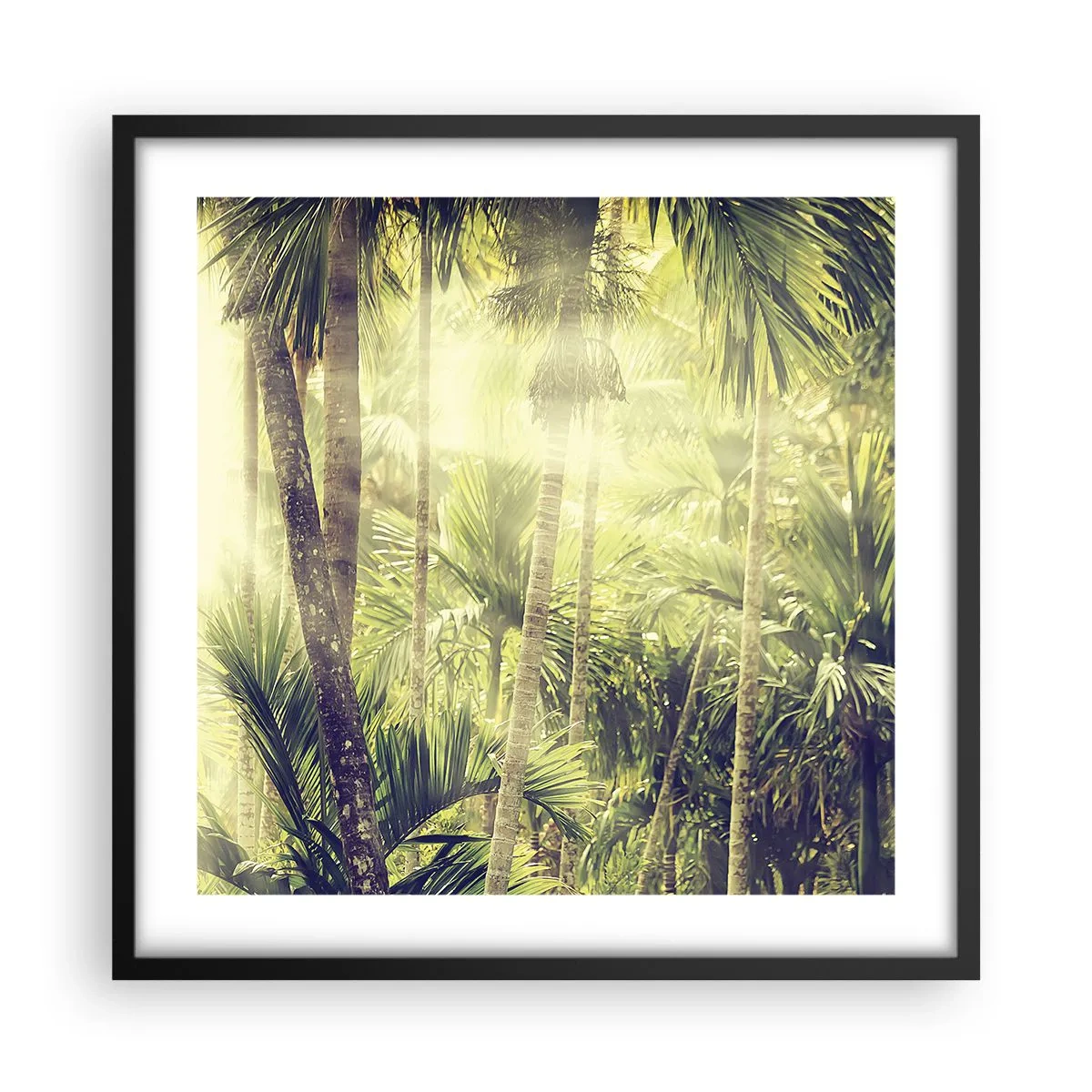 Affiche dans un cadre noir - Poster - Nature enflammée - 50x50 cm