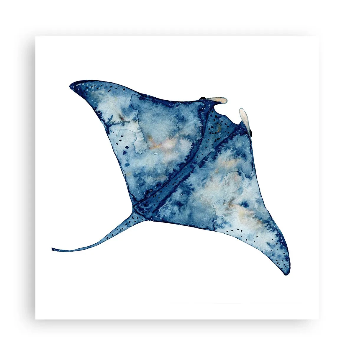 Affiche - Poster - La vie en bleu - 60x60 cm
