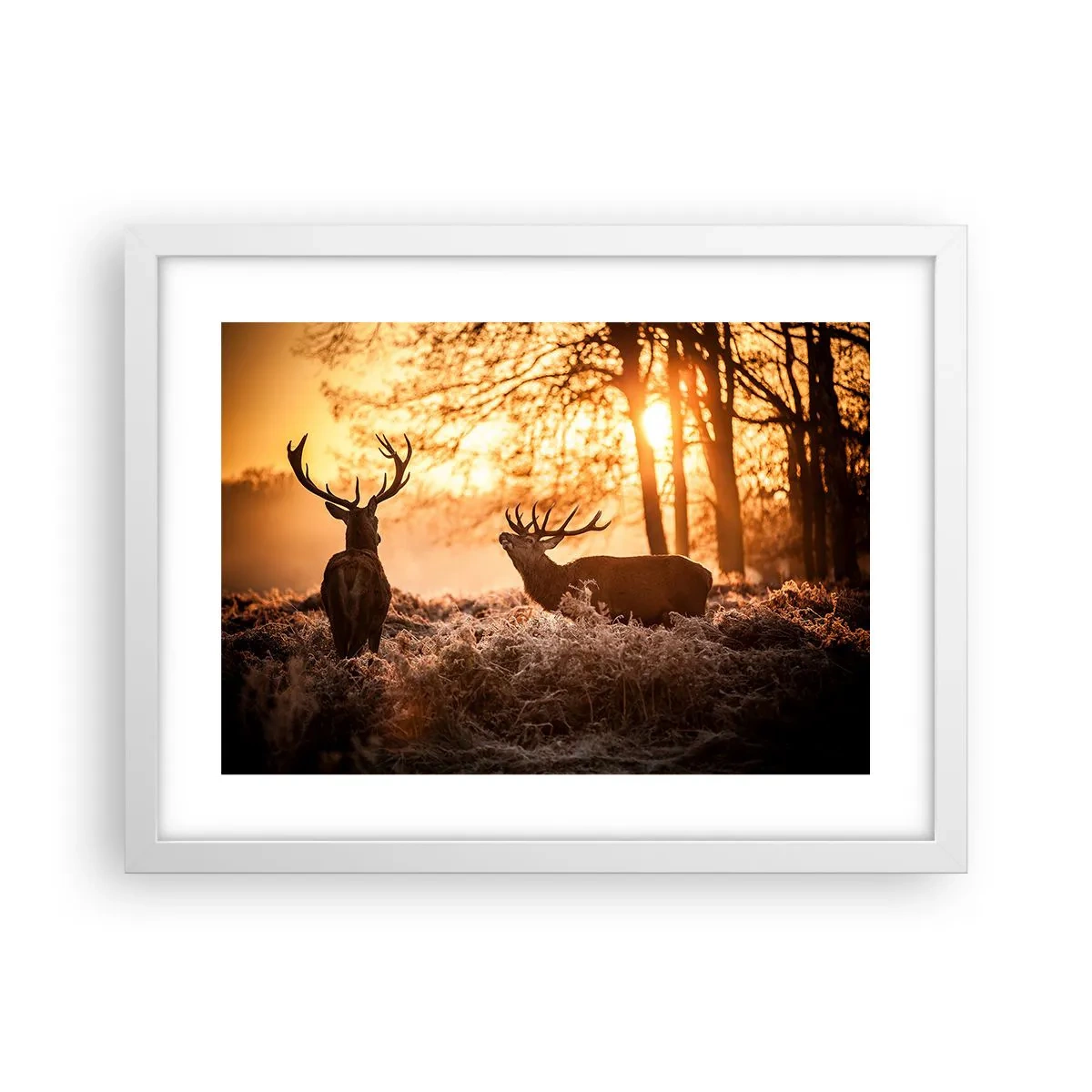 Affiche dans un cadre blanc - Poster - Le rêve d'un chasseur - 40x30 cm