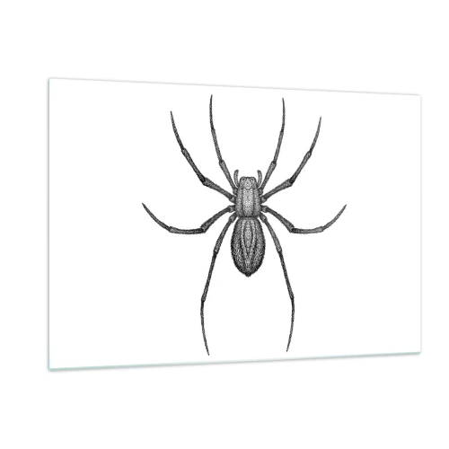 Impression sur verre - Image sur verre - Illustration de style rétro d'une araignée noire sur fond blanc - 120x80cm - Une précision troublante - Décoration murale moderne pour le salon et la chambre ARTTOR