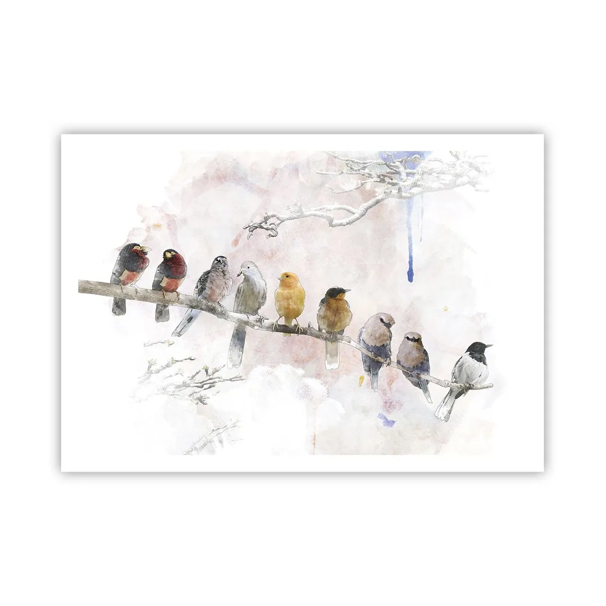 Affiche - Poster - Oiseaux colorés sur une branche dans un style aquarelle - 100x70cm - Rencontre ailée - Décoration murale moderne pour le salon et la chambre ARTTOR