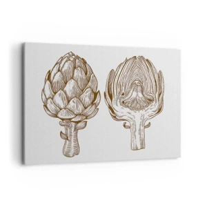 Impression sur toile - Image sur toile - Dessin d'art vintage d'un artichaut - 100x70cm - Leçon d’anatomie - Décoration murale moderne pour le salon et la chambre ARTTOR