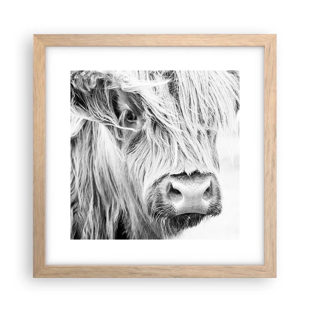 Affiche dans un chêne clair - Poster - Sauvagerie écossaise - 30x30 cm