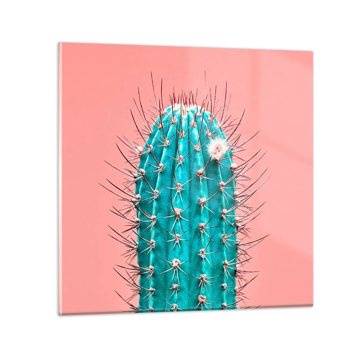 Impression sur verre - Image sur verre - Juste regarde - 60x60 cm