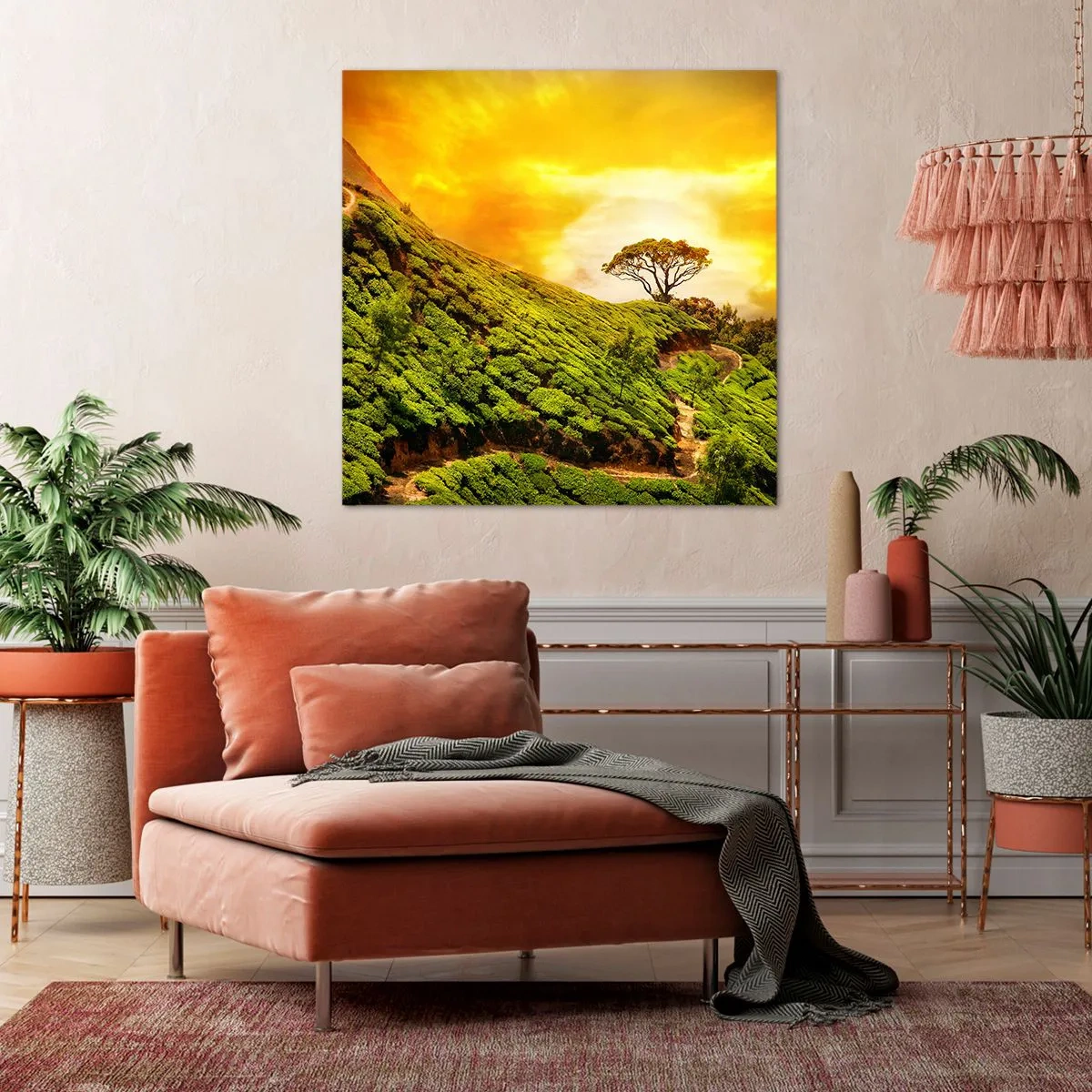 Impression sur toile - Image sur toile - Un chemin sinueux, une pente verte - 70x70 cm