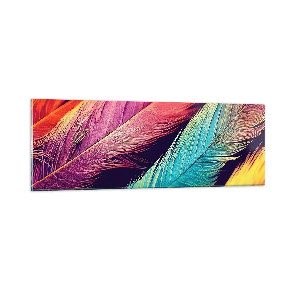 Impression sur verre - Image sur verre - Arc-en-ciel de plumes - 90x30 cm