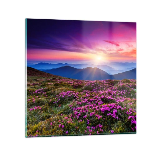 Impression sur verre - Image sur verre - Les herbes sentaient les grappes fraîches de la récolte - 70x70 cm