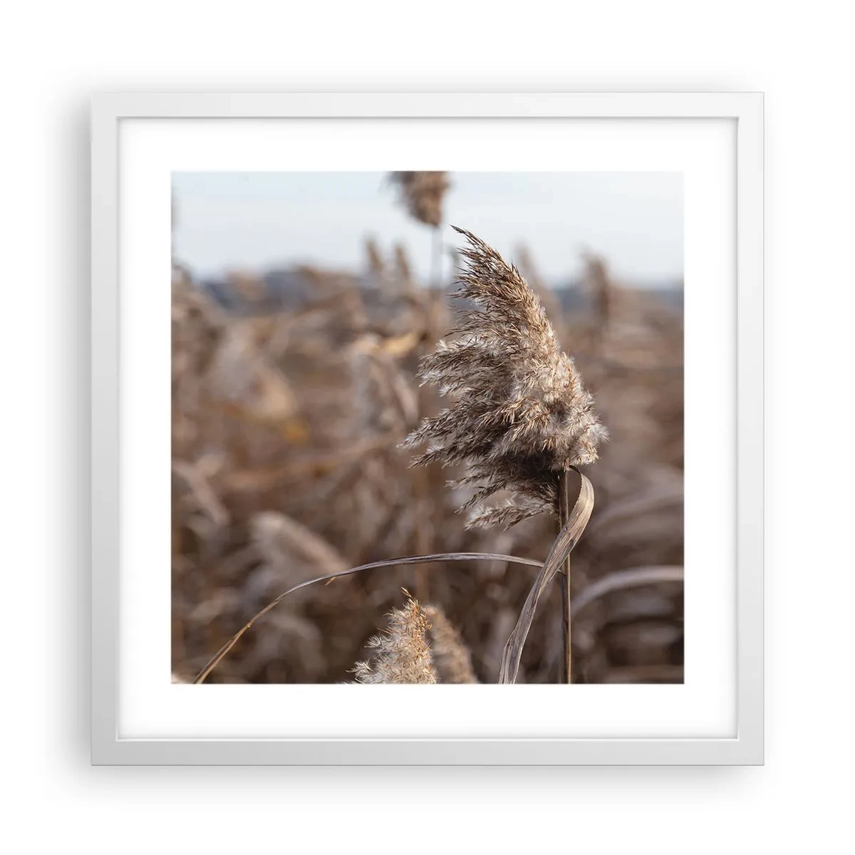 Affiche dans un cadre blanc - Poster - Il est temps de s'envoler avec le vent - 40x40 cm