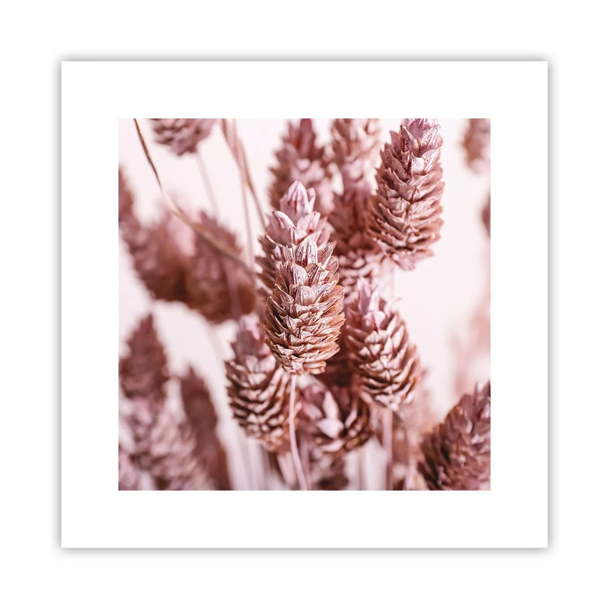 Affiche - Poster - Apparemment discret - 30x30 cm